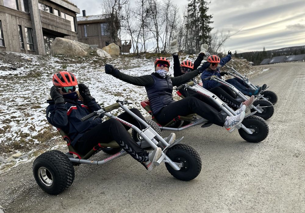Four riders on mountaincarts