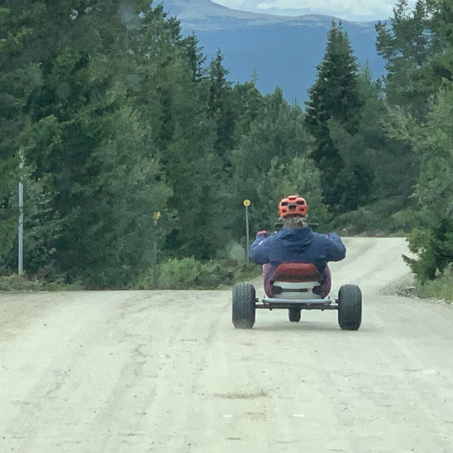 Mountaincart på vei ned gjennom skogen