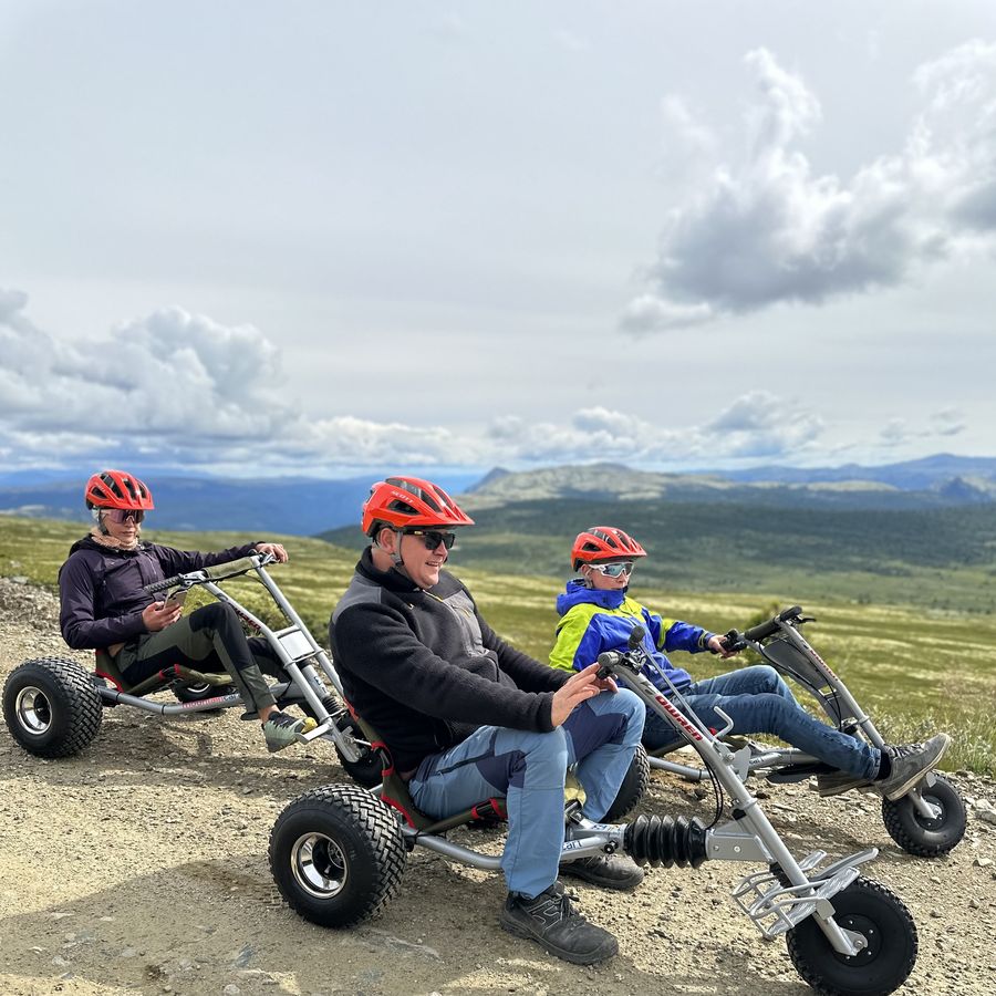 Voksen og to barn på mountaincarts med fjellpanorama