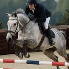 Horse clearing a jump