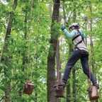 Climbing park among the trees